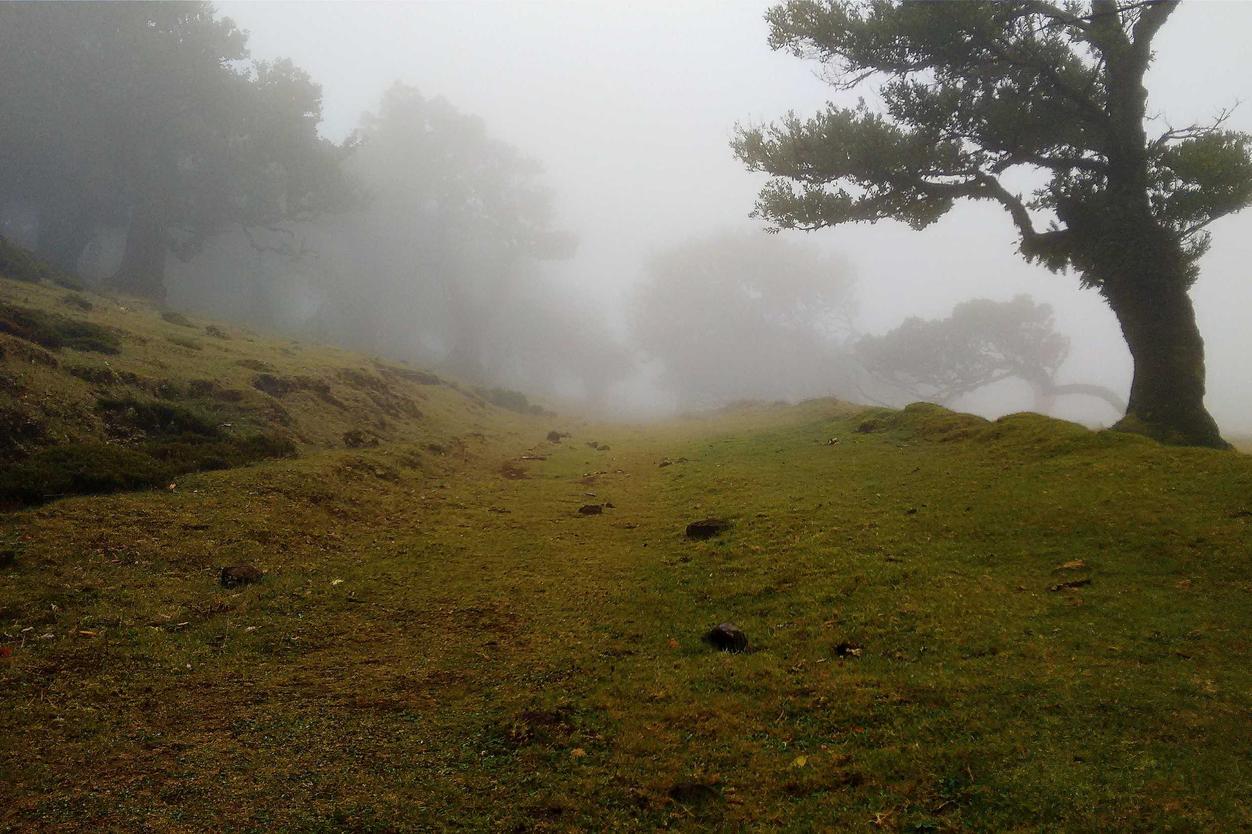 Et velit nemo excepturi corrupti