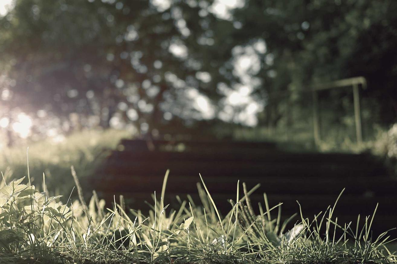 Incidunt nam molestiae quia mollitia quia